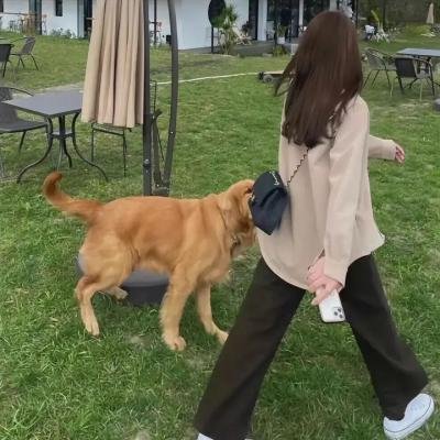 上海伦巴
